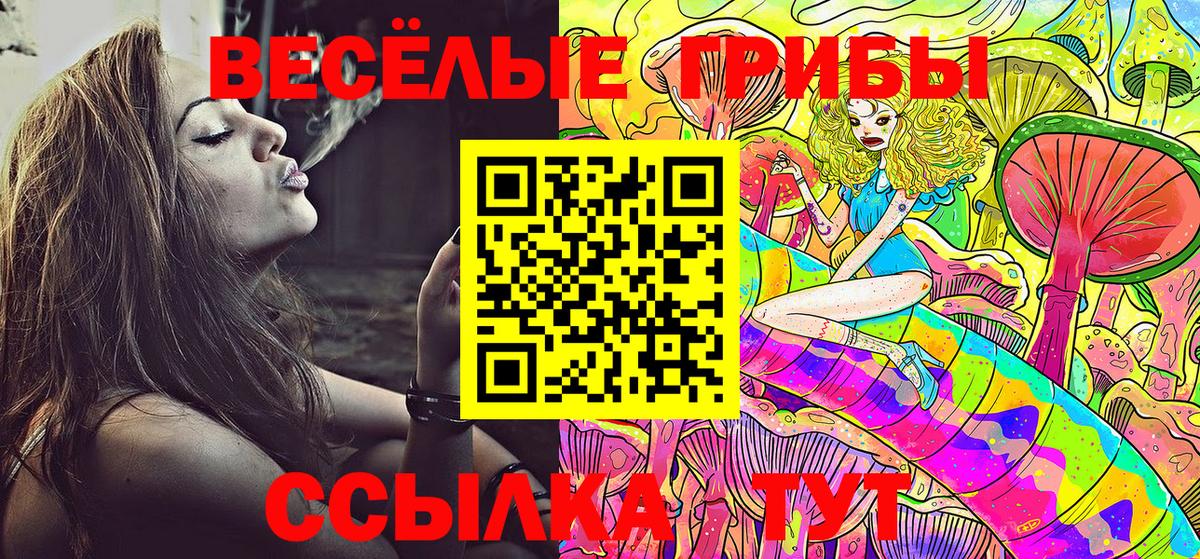Псилоцибиновые грибы мухоморы Заринск